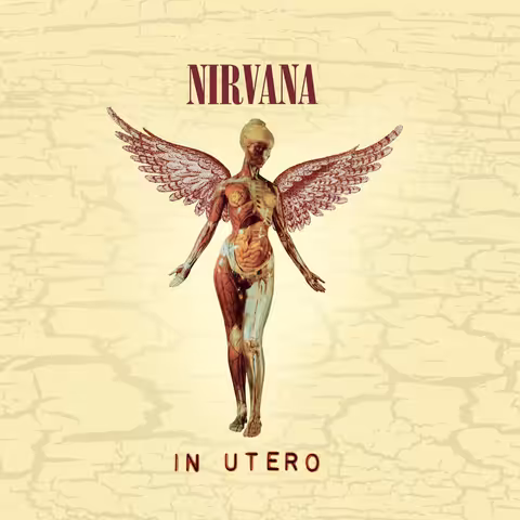 Front cover of In Utero: a winged female anatomical figure with skin cut away to show muscle, organs and skeleton, arms held out, on a pale cream background of cracked plaster, with NIRVANA in dark red serif capitals above and IN UTERO in spaced dark red capitals below.