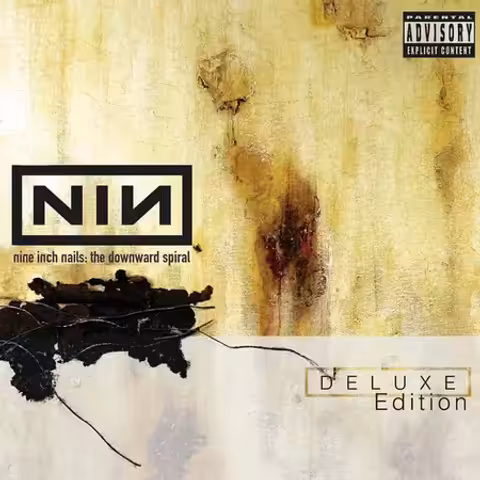 Front cover of The Downward Spiral by Nine Inch Nails, featuring Russell Mills mixed-media artwork "Wound" of plaster, oils, rusted metal, insects and surgical bandaging on a wooden panel.