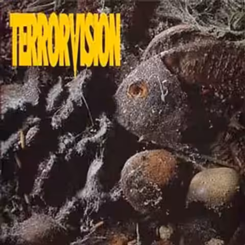 Front cover of Terrorvision's 1993 debut album Formaldehyde, a clinical close-up photograph of a preserved specimen against an off-white background, with the band logo and album title set in plain capital lettering.