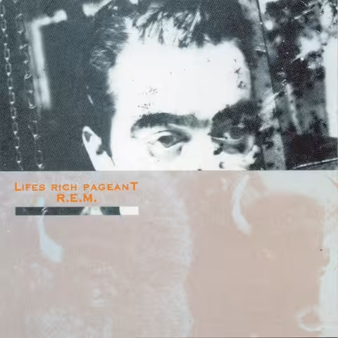 Front cover of Lifes Rich Pageant by R.E.M., a split image showing drummer Bill Berry above two bison, released by I.R.S. Records in 1986.