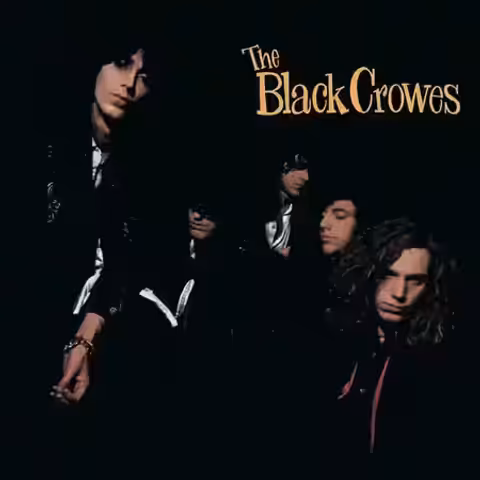 Front cover artwork of Shake Your Money Maker by The Black Crowes, showing the band logo and stylised rose imagery designed by Alan Forbes.
