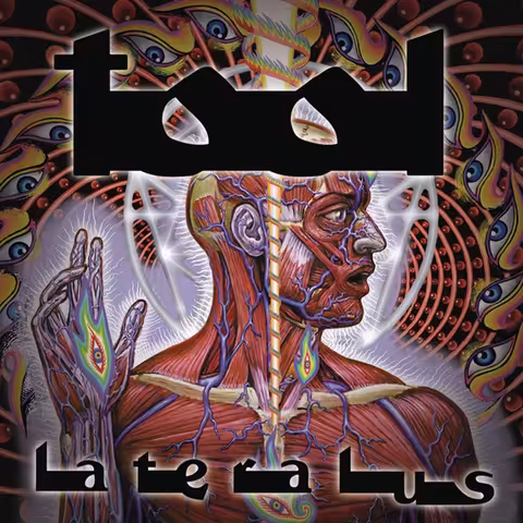 Alex Grey cover artwork for Lateralus by Tool, showing layered anatomical figures of the human body.