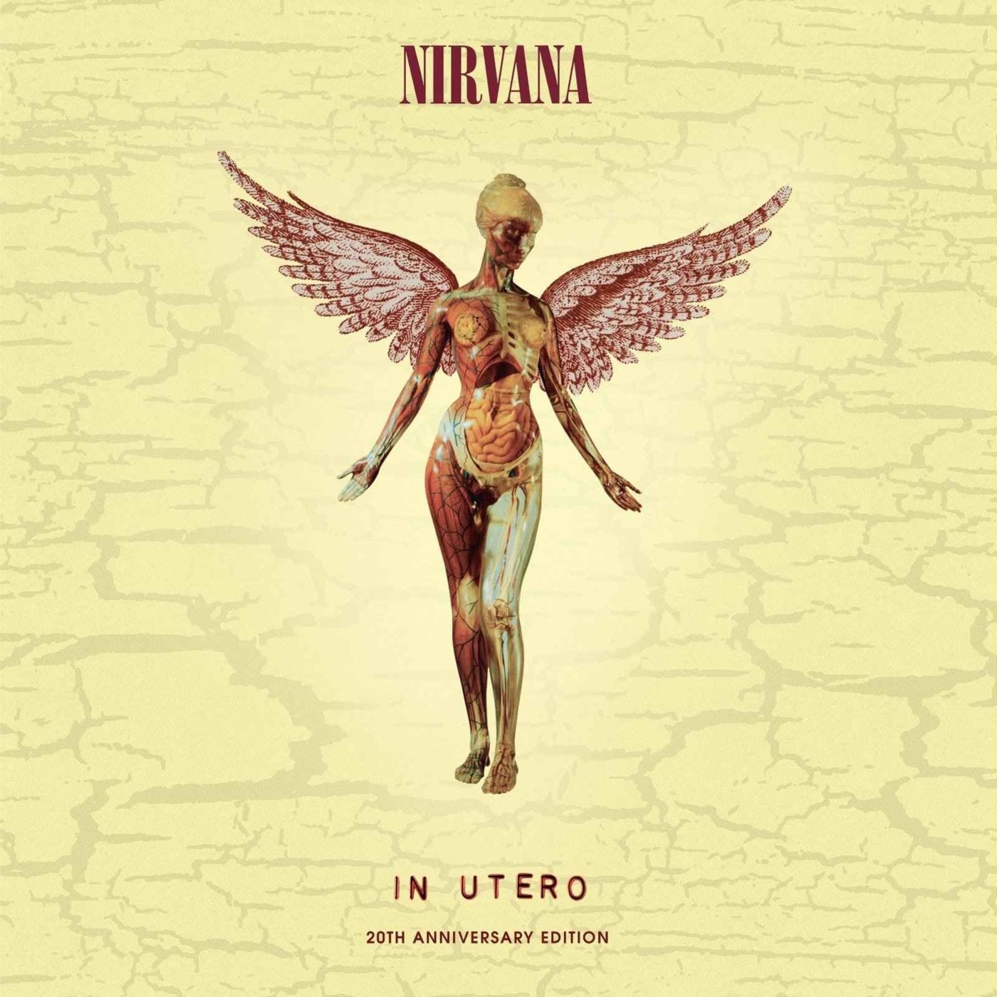 RIFF001 - Nirvana - In Utero