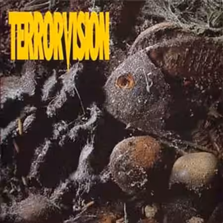 The Making of Formaldehyde by Terrorvision